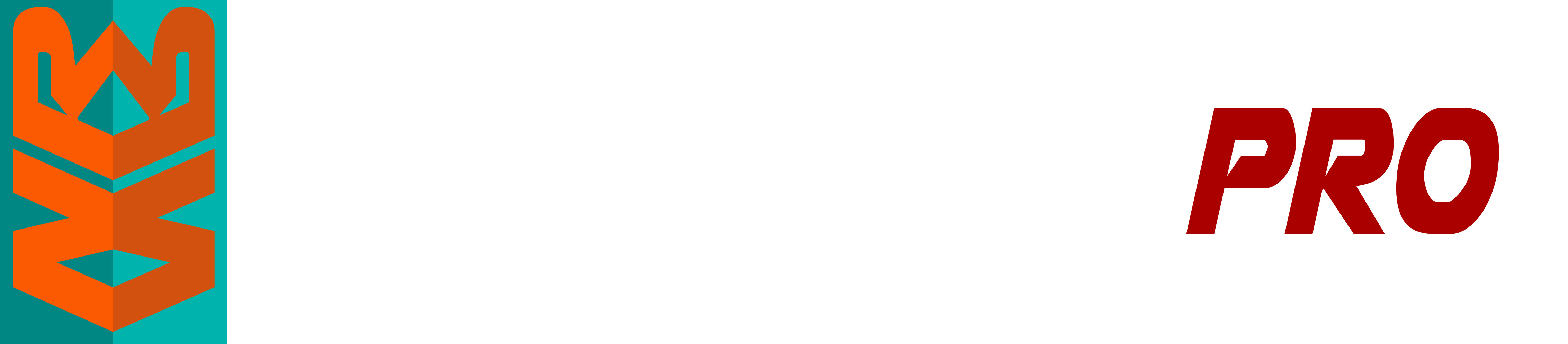 New Roads Pro